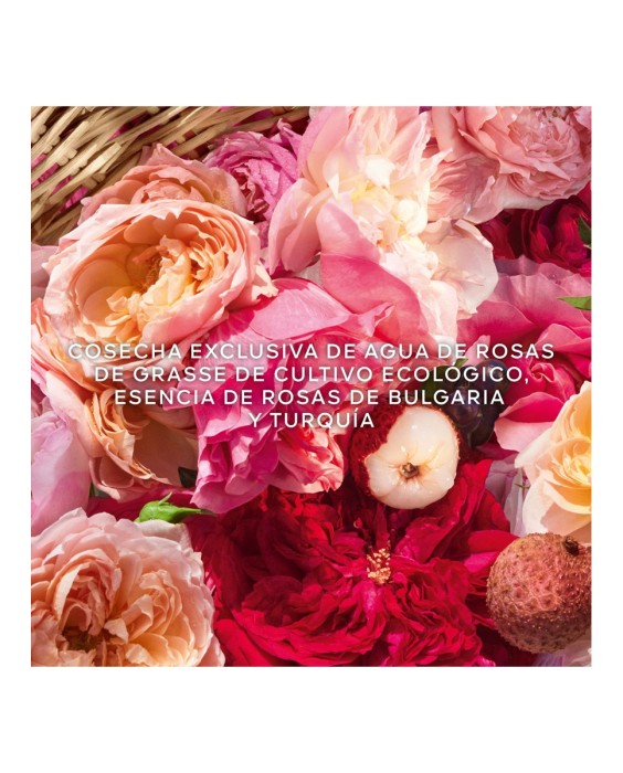 Eau de Toilette Aqua Allegoria Harvest Rosa Rossa 125 ml Guerlain