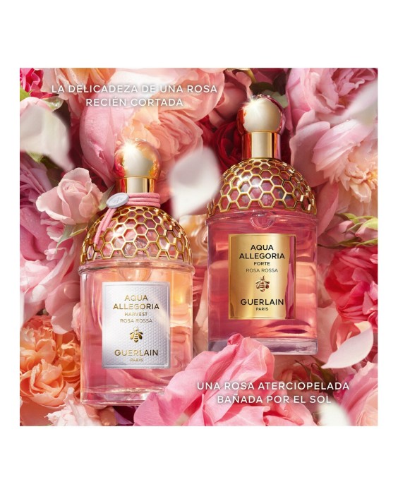 Eau de Toilette Aqua Allegoria Harvest Rosa Rossa 125 ml Guerlain