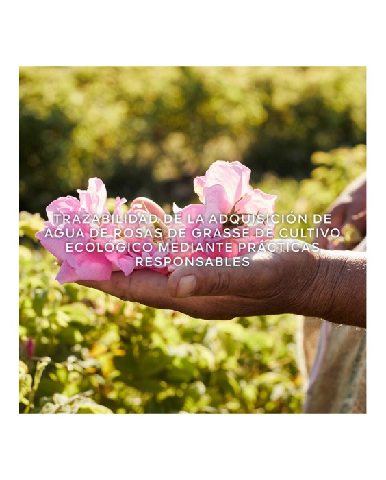 Eau de Toilette Aqua Allegoria Harvest Rosa Rossa 125 ml Guerlain