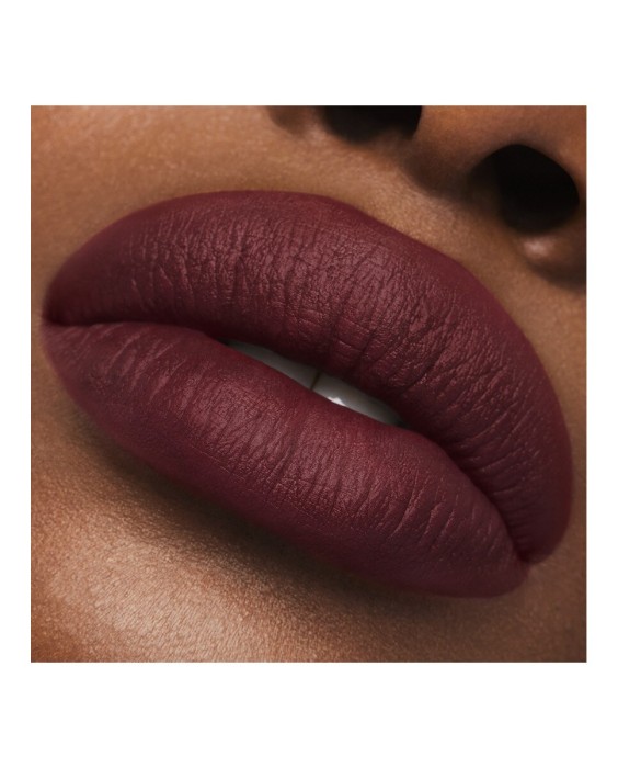 Barra de labios Mate Pure Color Estée Lauder