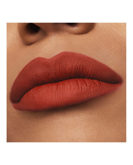 Barra de labios Mate Pure Color Estée Lauder