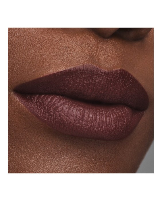 Barra de labios Mate Pure Color Estée Lauder