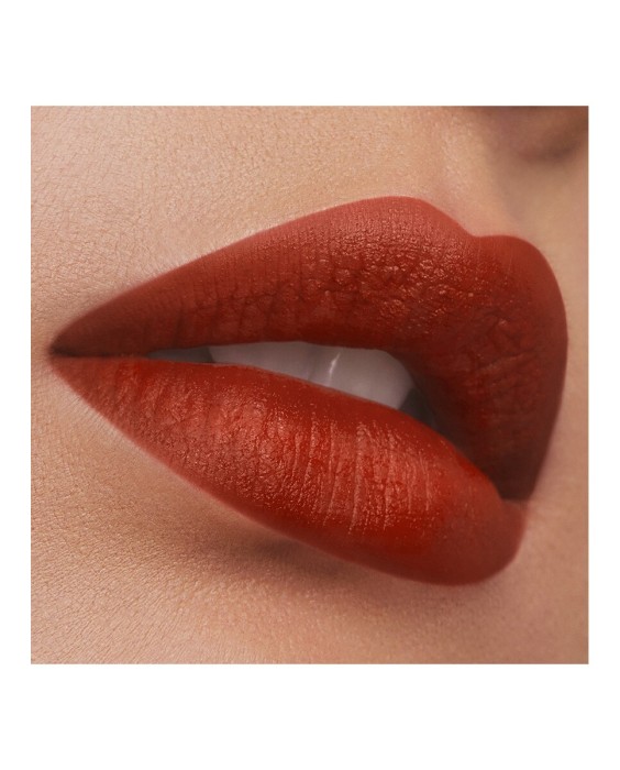 Barra de labios Mate Pure Color Estée Lauder