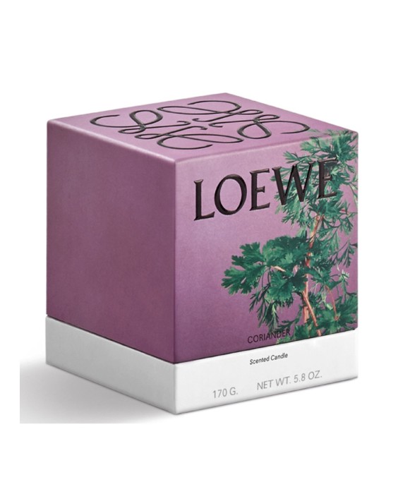 Vela aromática Home Scents Coriander S Loewe