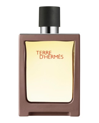 Eau de Parfum Terre d'Hermès