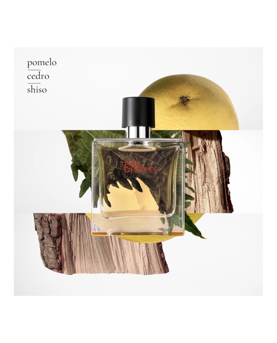 Eau de Parfum Terre d'Hermès