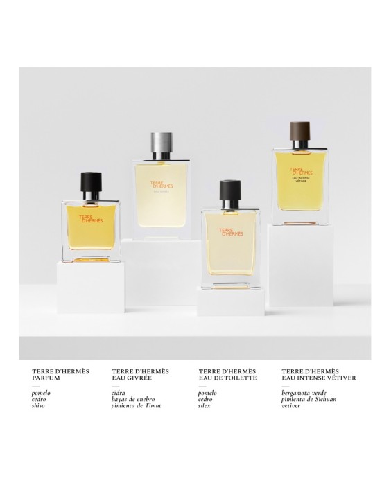 Eau de Parfum Terre d'Hermès