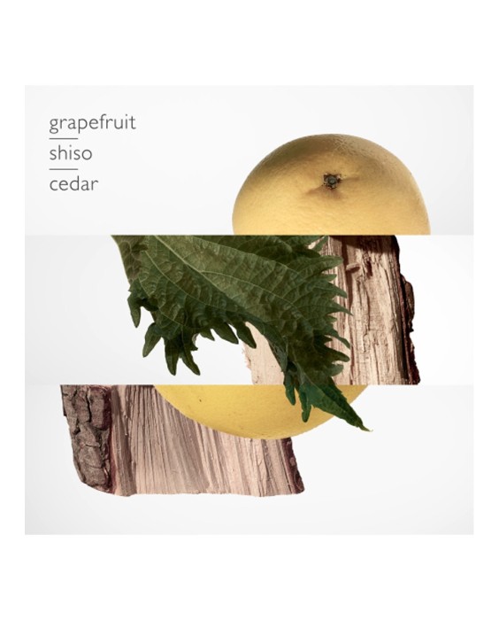 Eau de Parfum Terre d'Hermès