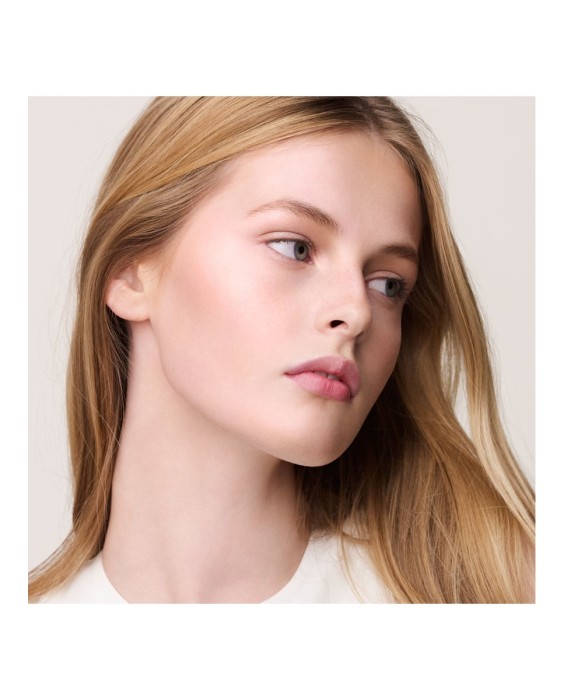 Hermès Nacarados H Trio Plein Air Минеральная пудра