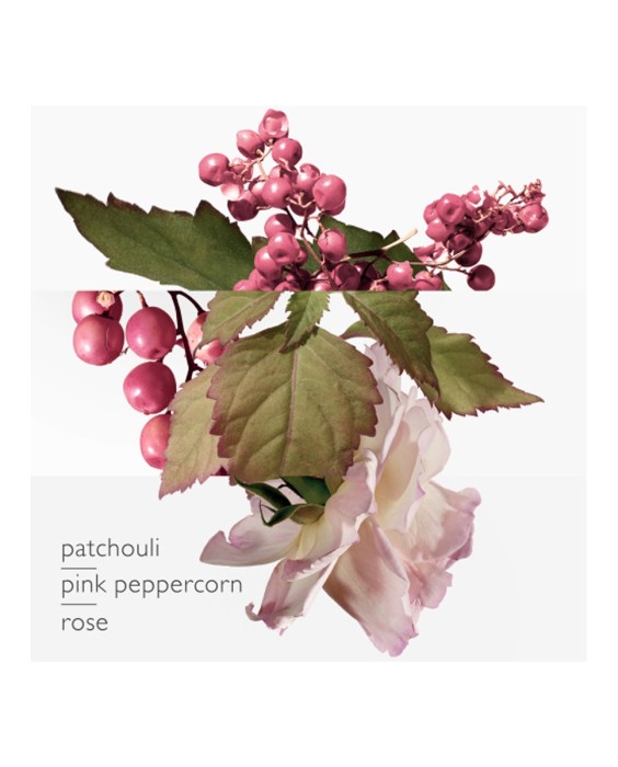 Hermès Twilly d'Hermès Eau Poivrée парфюмерная вода