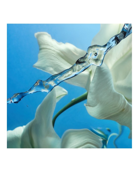 Charlotte Tilbury Calm Bliss 10мл парфюмерная вода