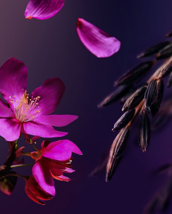 Gel de ducha en espuma The Ritual of Yozakura Foaming Shower Gel 200 ml Rituals