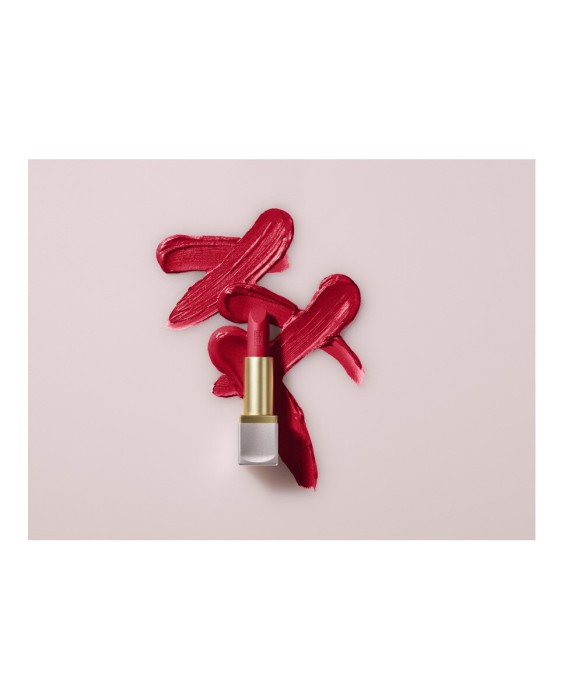Barra de labios Lip Color Elizabeth Arden