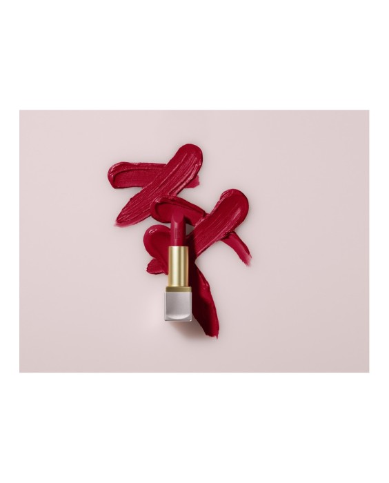 Barra de labios Lip Color Elizabeth Arden