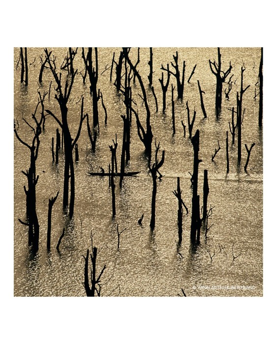 Eau de Parfum Aqua Allegoria Rosa Rossa Forte Recargable 75 ml Guerlain