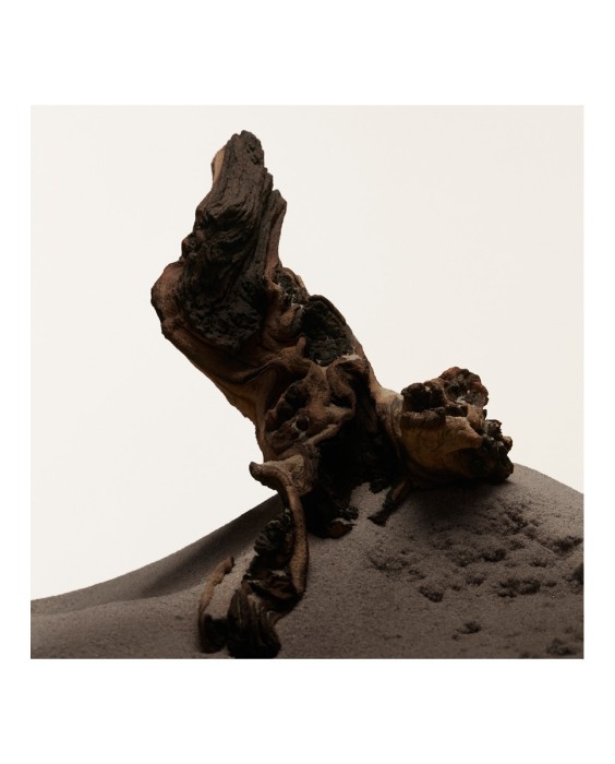 Eau de Toilette Hero 100 ml Burberry