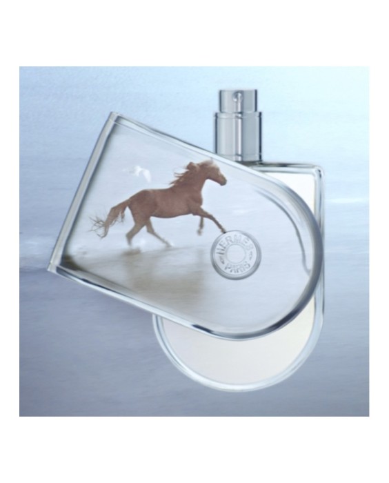 Hermès Voyage d'Hermès туалетная вода