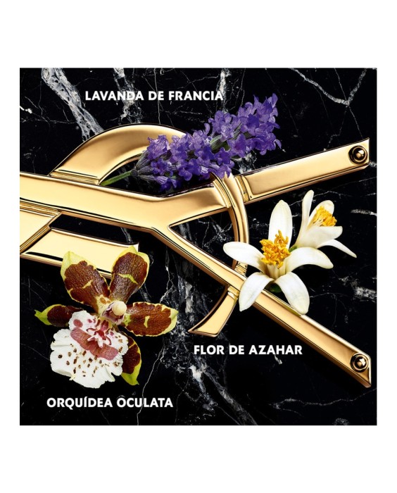 Eau de Parfum Libre Intense 50 ml Yves Saint Laurent