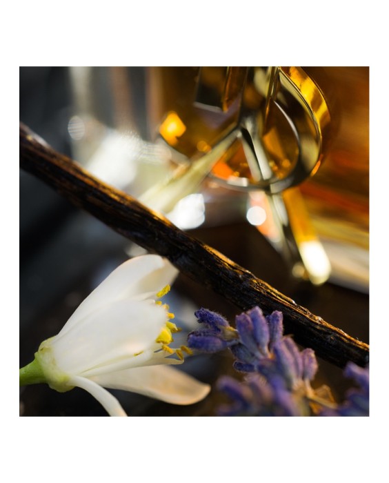 Eau de Parfum Libre Intense 50 ml Yves Saint Laurent