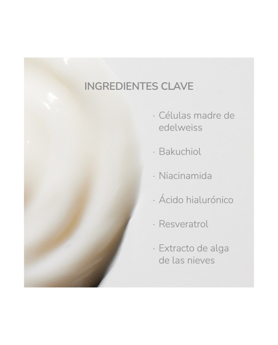 Crema facial reafirmante Absolute Lift Cream 50ml NIEVES by Nieves Álvarez