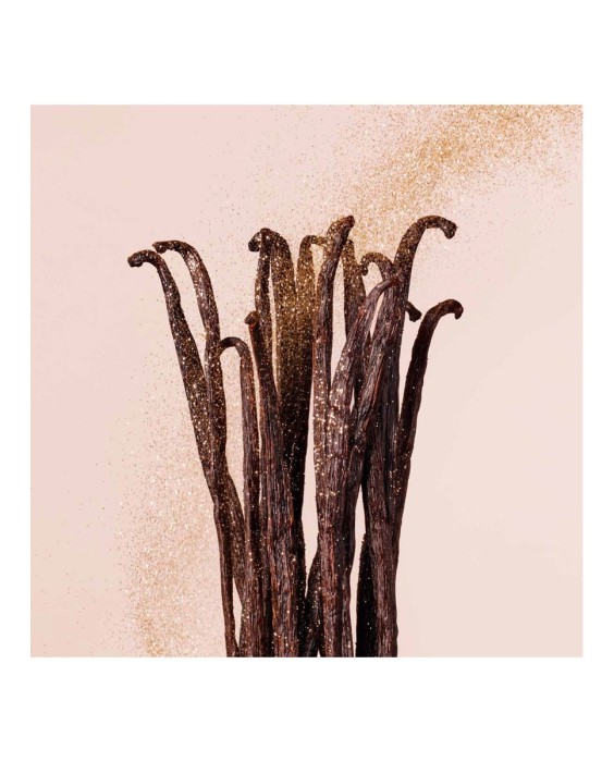 Eau de Parfum Seduction Collection Vanilla Love 125 ml Jimmy Choo