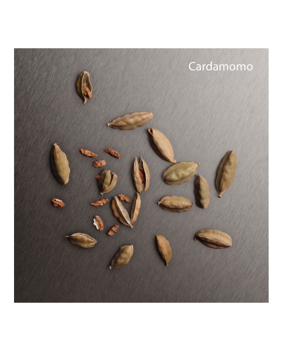 Eau de Parfum Eternity Aromatic Essence for men 100 ml Calvin Klein