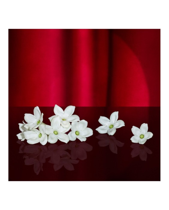 Eau de Parfum Show me Love 30 ml Escada