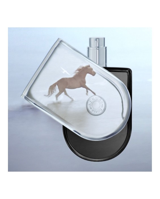 Hermès Voyage d'Hermès 35мл парфюмерная вода