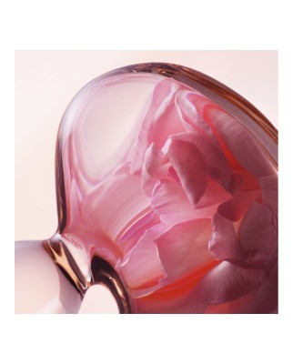 Lancaster Comforting Perfecting Toner 400мл Тоник для лица