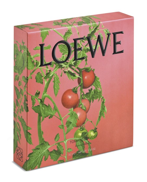Estuche de regalo Incienso Tomato Leaves Loewe
