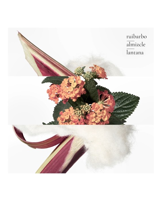 Hermès Eau de Rhubarbe Écarlate 200мл гель для душа для тела и волос, рефилл