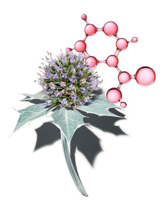 Crema Multi Activa Noche 50 ml Clarins