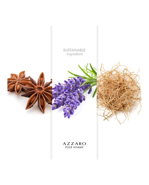 Eau de Toilette Azzaro pour Homme 100 ml Azzaro