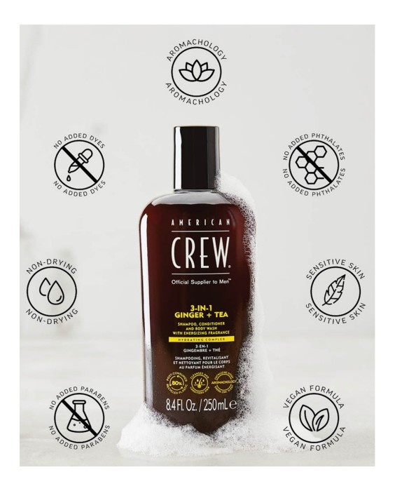 Champú 3 in 1 Energizing 250 ml American Crew