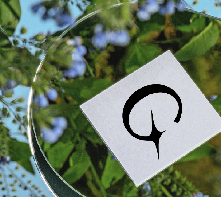 Скидки и специальные предложения